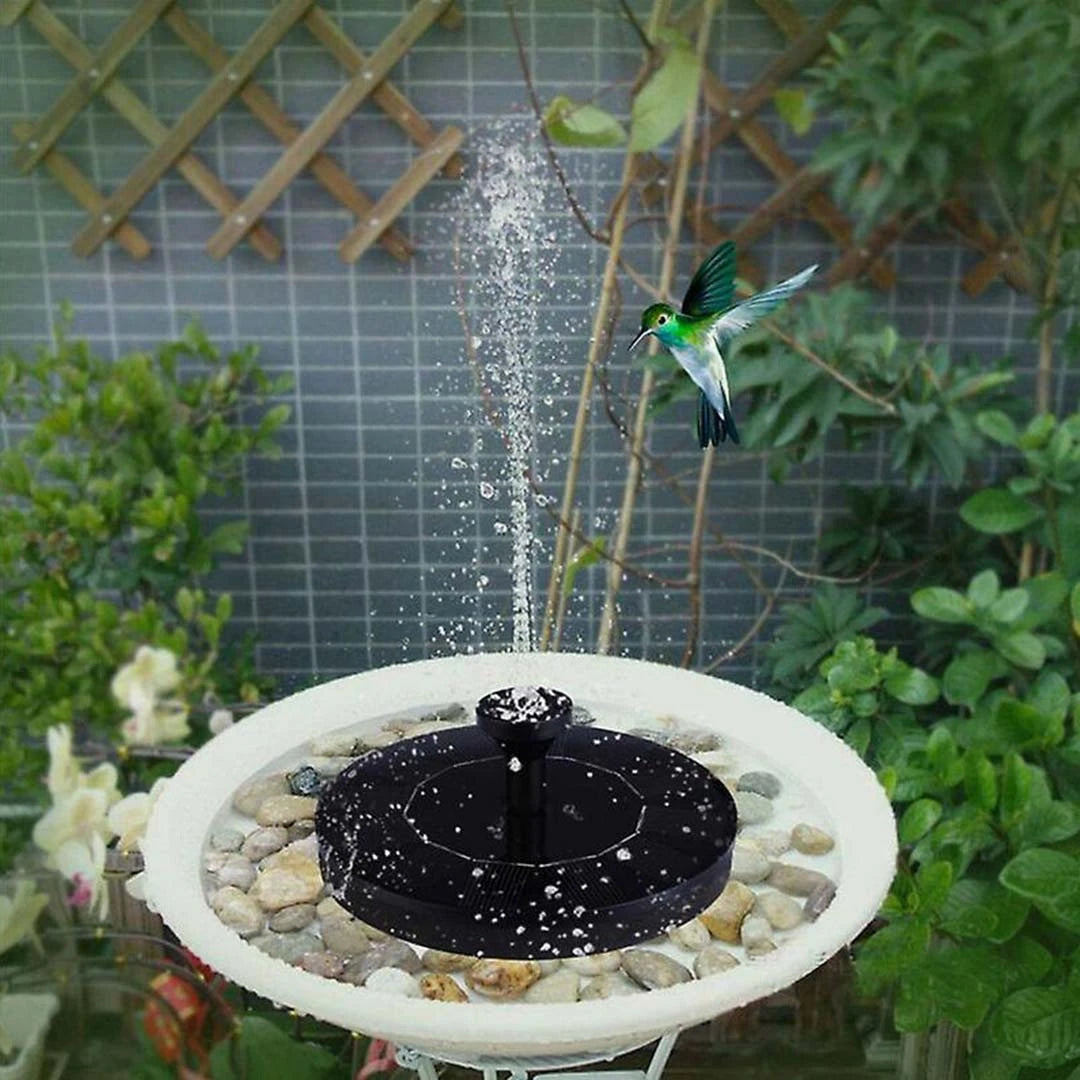 Čarobna Solarna Fontana🐦