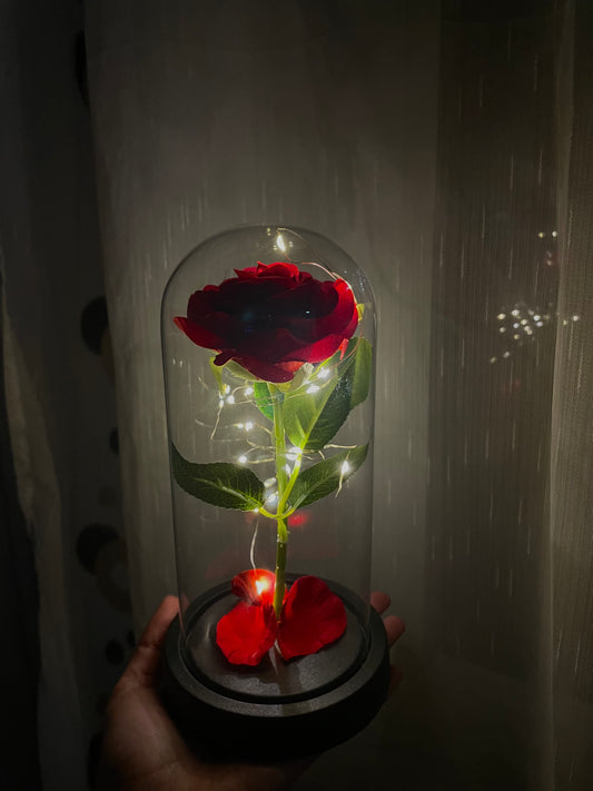 Večna Ruža-Poklon za voljenu osobu